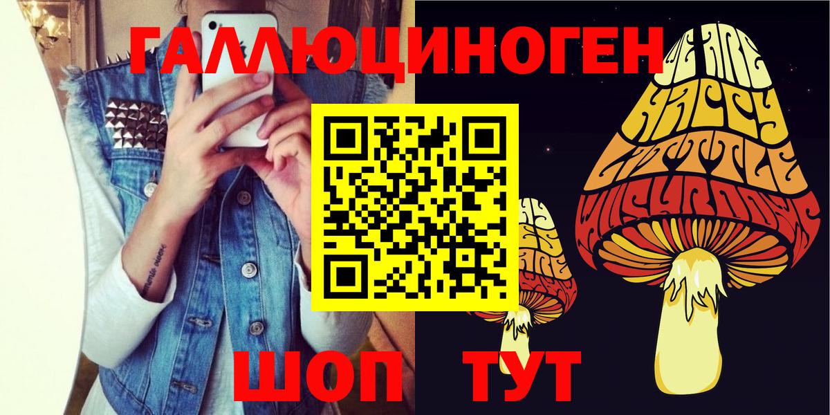 цена   Вход с VPN  Камень-на-Оби  Галлюциногенные грибы Magic Shrooms 